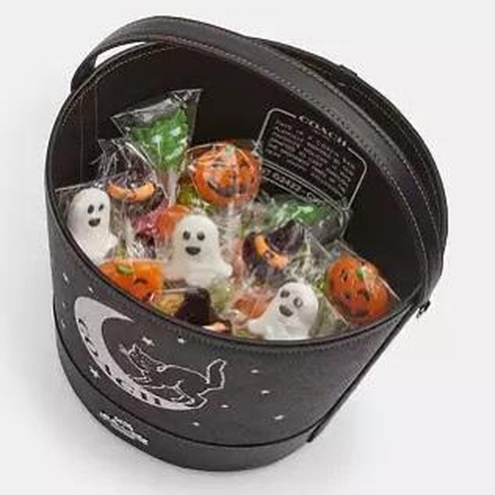 Coach Logo Black Cat On Moon Halloween Bucket Bag - Picture 2 of 5